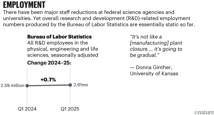 Employment: A graphic showing changes in the US Employment sector between Q1 2024 and Q1 2025. The line chart presents data for: Bureau of Labor Statistics which has risen slightly in the one year period.