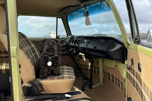 1979 Volkswagen Type 2 Camper