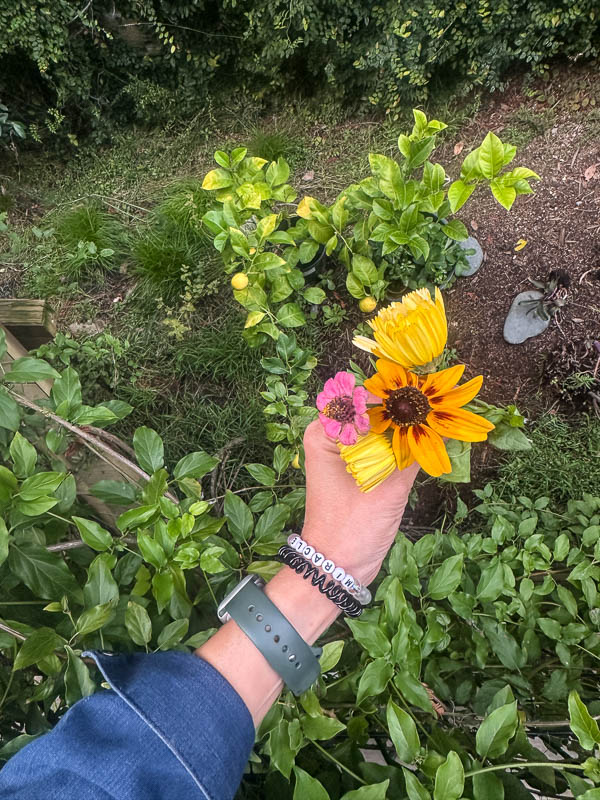 My Everyday Life Week 48 of 2025- Tracy Benjamin of Shutterbean.com