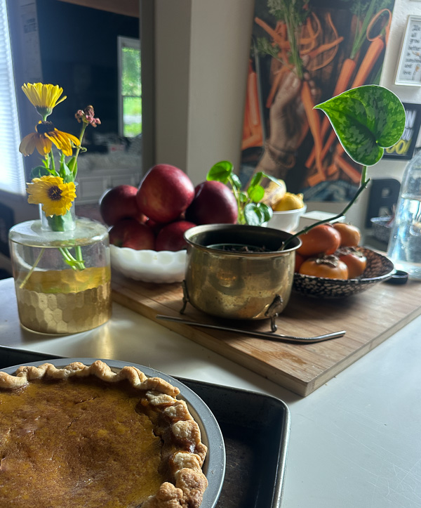 My Everyday Life Week 48 of 2025- Tracy Benjamin of Shutterbean.com