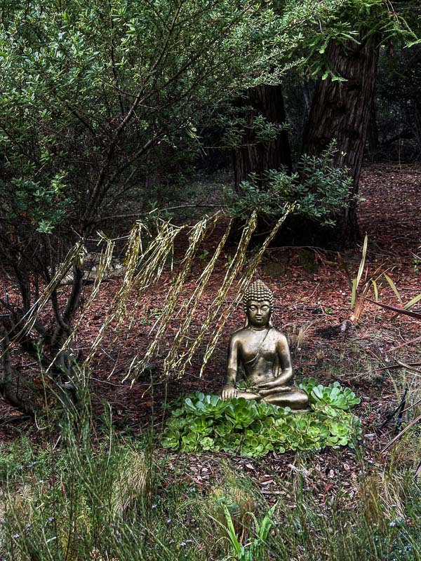 My Everyday Life Week 48 of 2025- Tracy Benjamin of Shutterbean.com