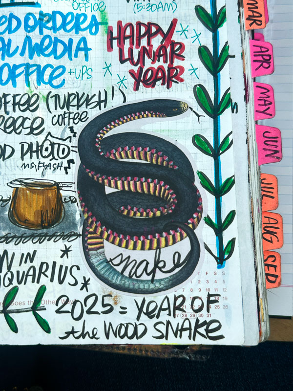 My Everyday Life Week 48 of 2025- Tracy Benjamin of Shutterbean.com