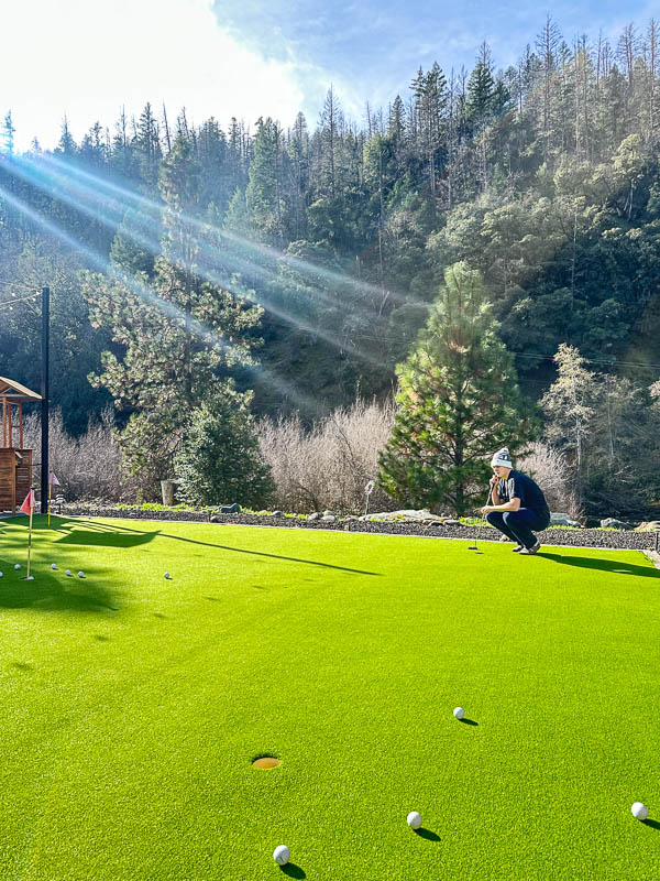 My Everyday Life Week 48 of 2025- Tracy Benjamin of Shutterbean.com