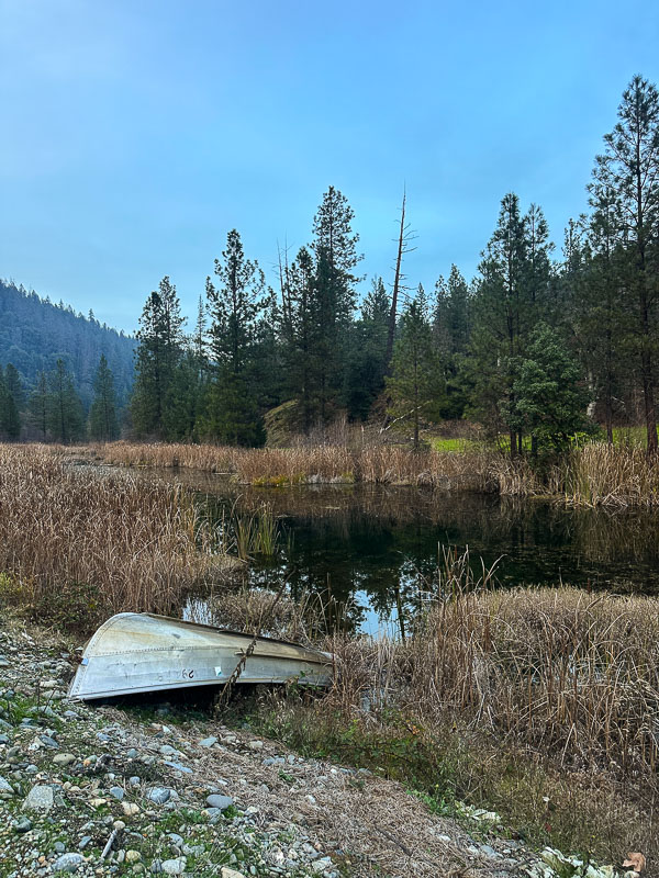 My Everyday Life Week 48 of 2025- Tracy Benjamin of Shutterbean.com