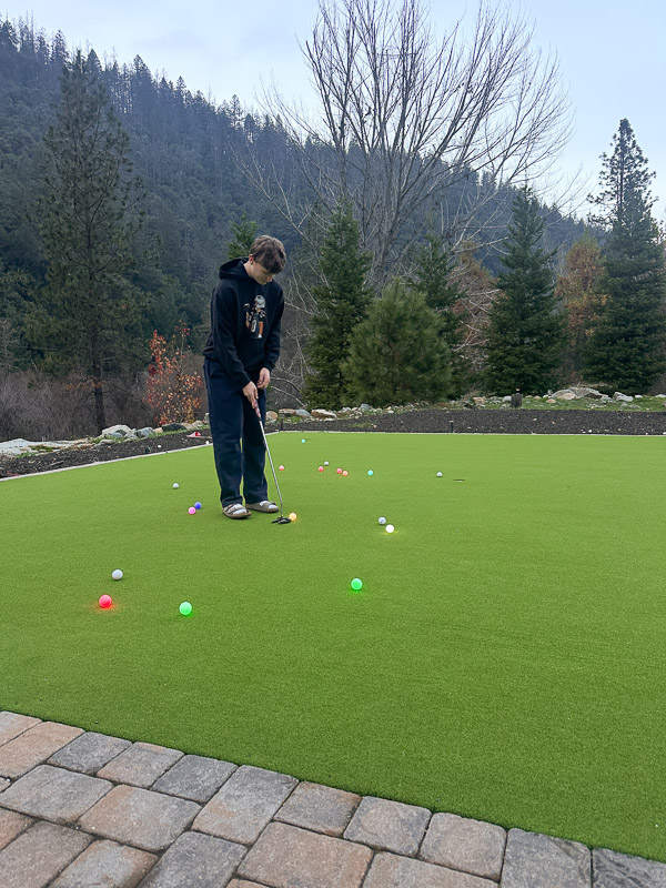 My Everyday Life Week 48 of 2025- Tracy Benjamin of Shutterbean.com