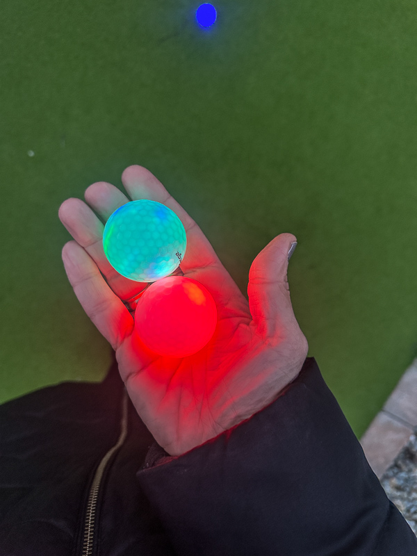 My Everyday Life Week 48 of 2025- Tracy Benjamin of Shutterbean.com