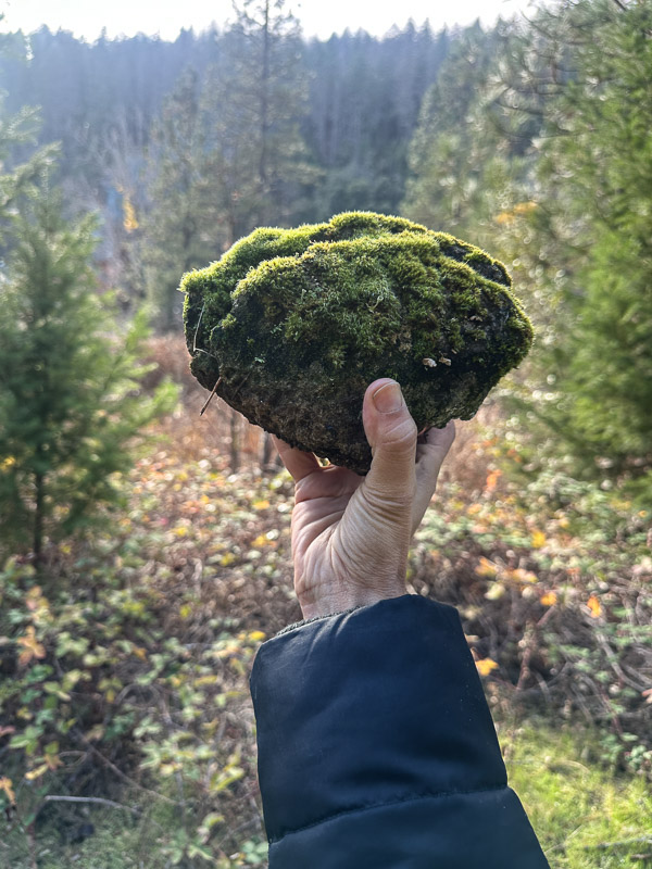 My Everyday Life Week 48 of 2025- Tracy Benjamin of Shutterbean.com