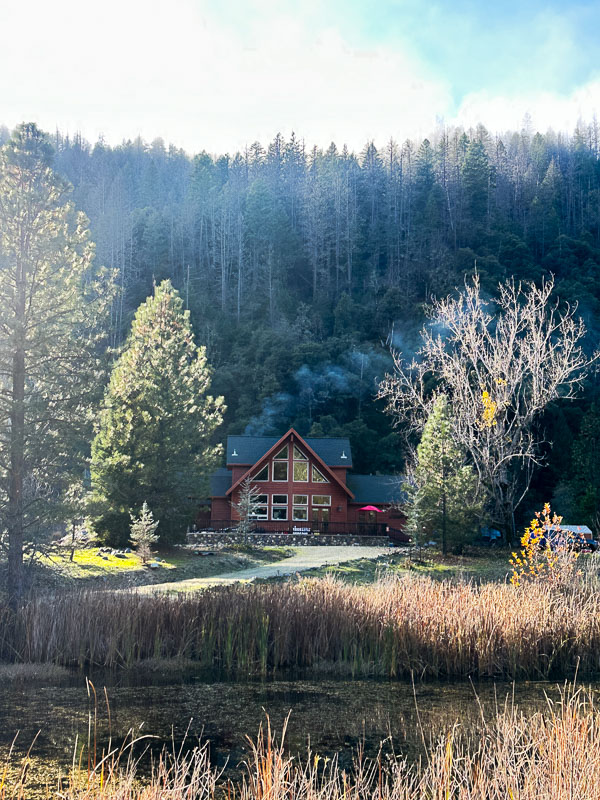 My Everyday Life Week 48 of 2025- Tracy Benjamin of Shutterbean.com