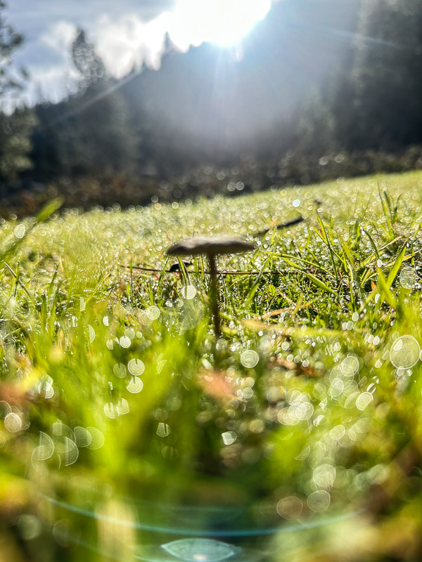 My Everyday Life Week 48 of 2025- Tracy Benjamin of Shutterbean.com