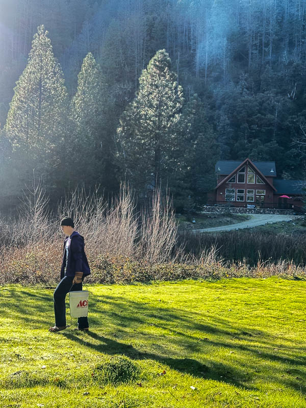 My Everyday Life Week 48 of 2025- Tracy Benjamin of Shutterbean.com