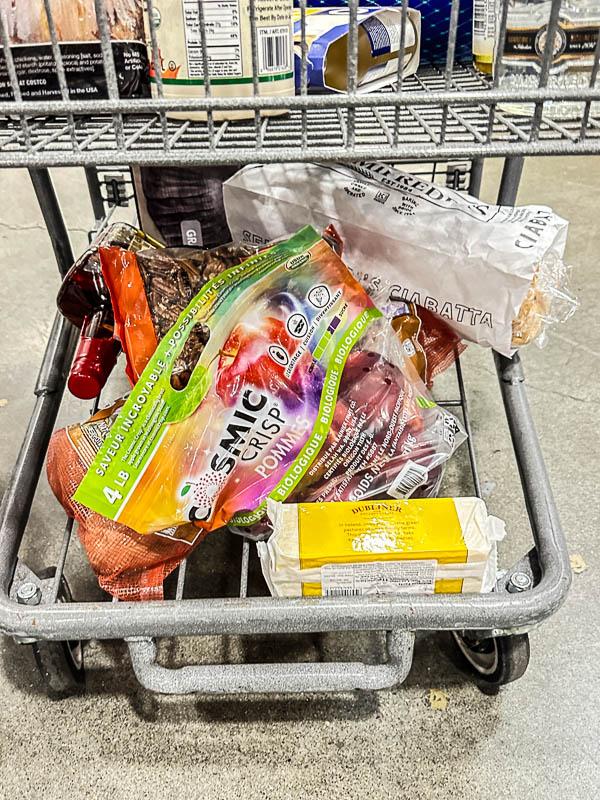 My Everyday Life Week 48 of 2025- Tracy Benjamin of Shutterbean.com