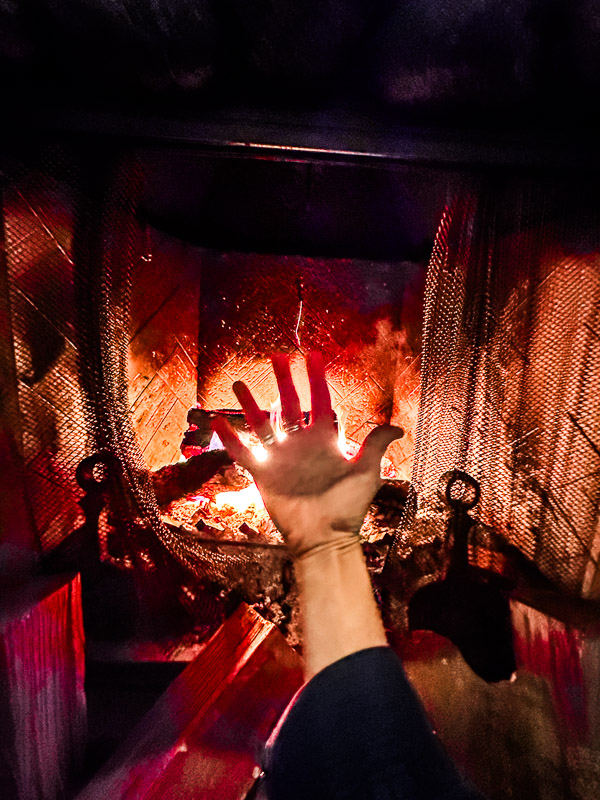 My Everyday Life Week 48 of 2025- Tracy Benjamin of Shutterbean.com