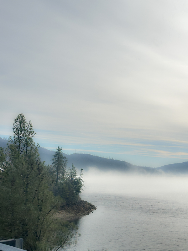 My Everyday Life Week 48 of 2025- Tracy Benjamin of Shutterbean.com