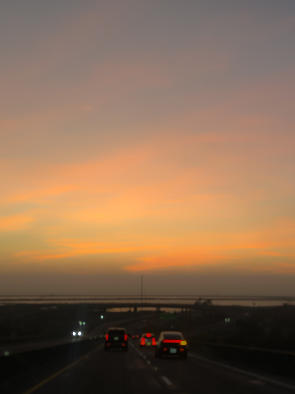 My Everyday Life Week 48 of 2025- Tracy Benjamin of Shutterbean.com