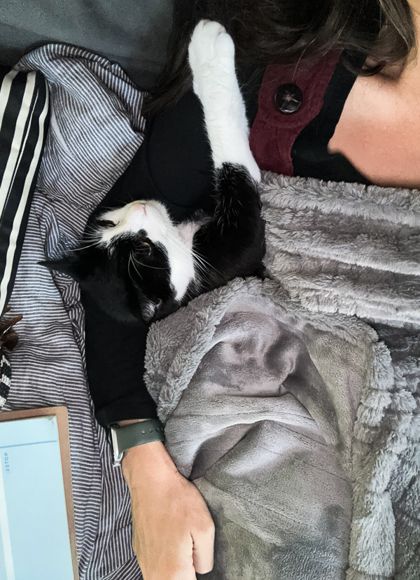 My Everyday Life Week 48 of 2025- Tracy Benjamin of Shutterbean.com